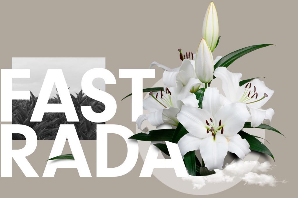 Wagenaar Lelies Holland / Lelie Fastrada cultivar