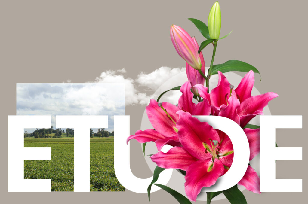 Wagenaar Lelies Etude