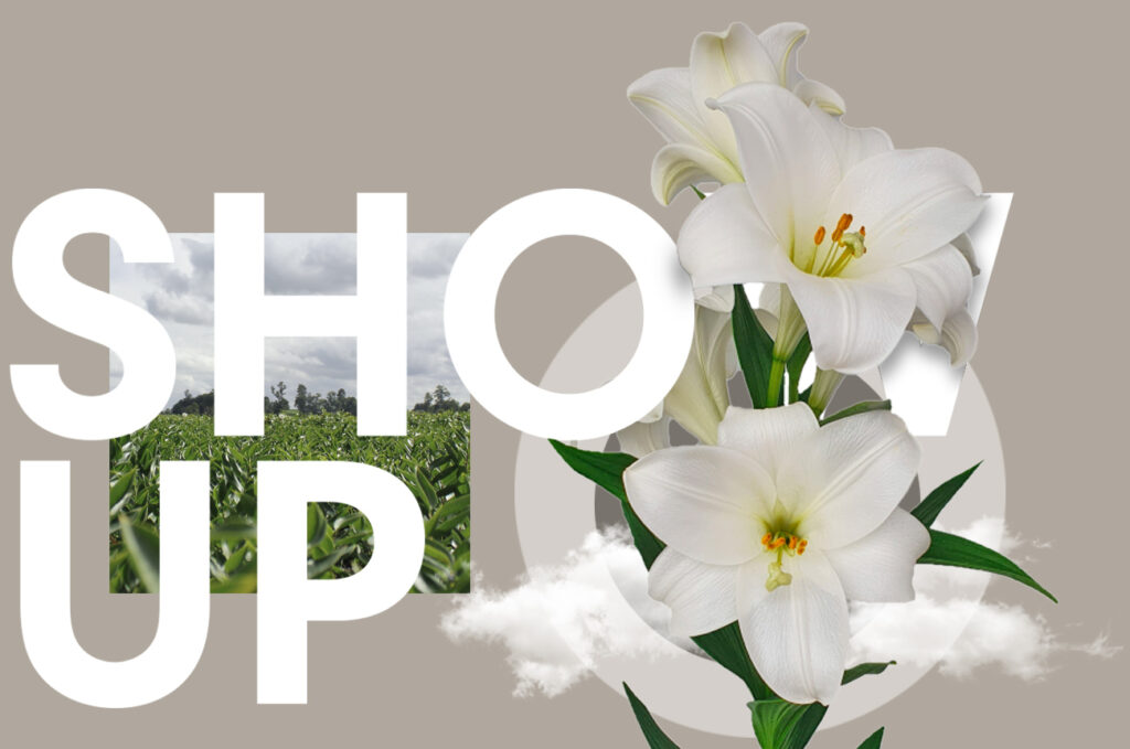 Wagenaar Lelies Show Up