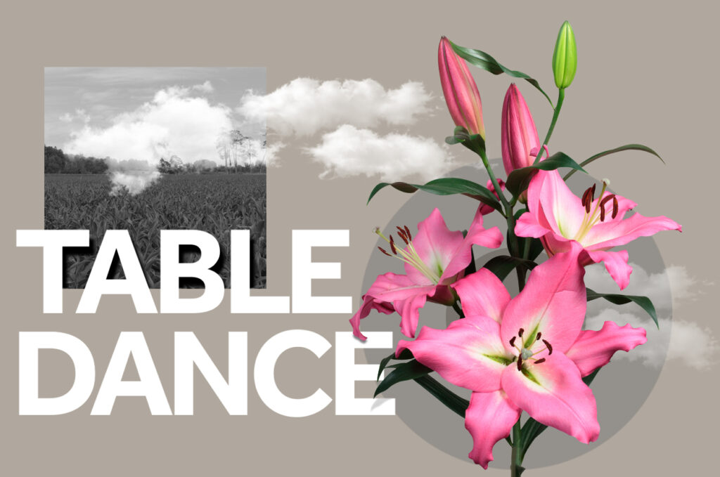 Lelie Table Dance Wagenaar Lelies