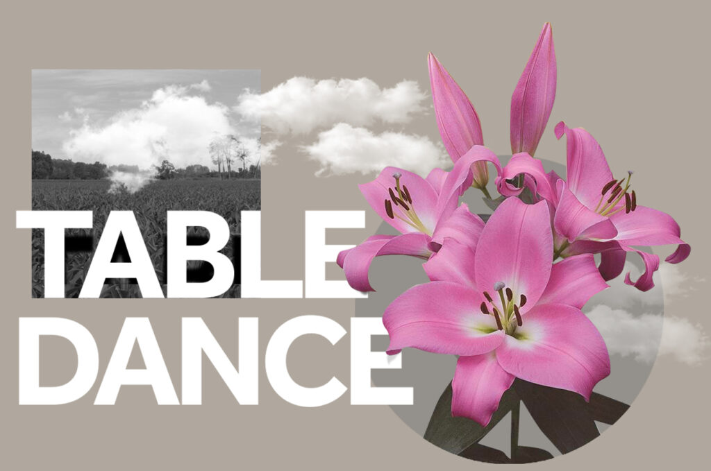 Lelie Table Dance Wagenaar Lelies